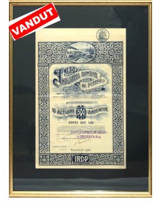 O ACȚIUNE LA PURTĂTOR